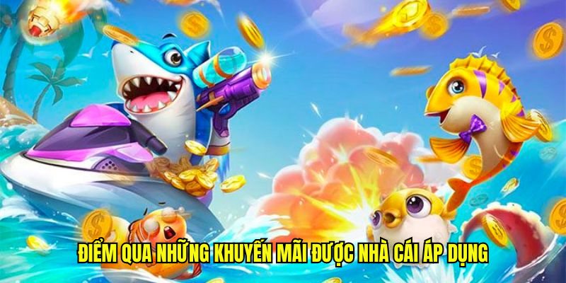 Điểm qua những khuyến mãi được nhà cái áp dụng