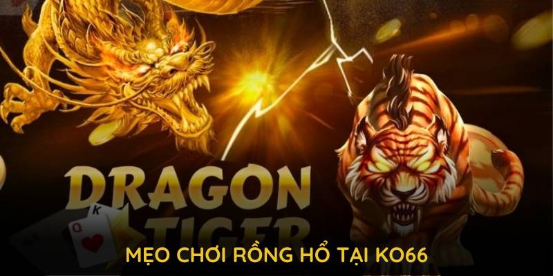 Mẹo chơi Rồng Hổ tại KO66