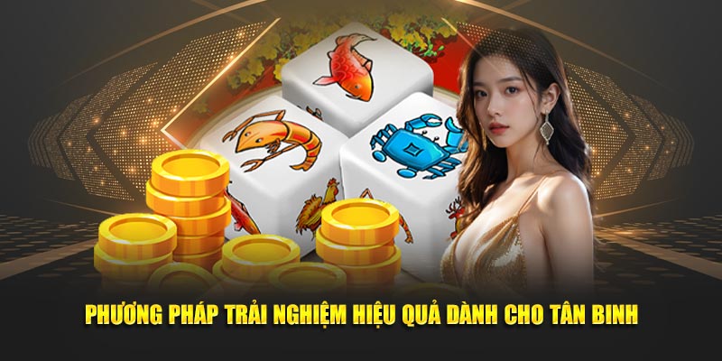 Phương pháp trải nghiệm hiệu quả dành cho tân binh